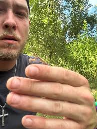 How do people feel about flies?