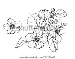 Today i complied easy flower drawings step by step for you. Ink Drawing Flowers At Getdrawings Free Download