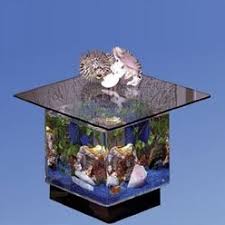 Coffee table fish tanks are luxurious by nature. Aqua Coffee Table Aquarium Wayfair