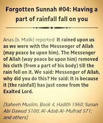 Pin On Islam
