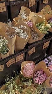 Abbie Deane (abbie_deane)