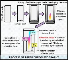 Under defined conditions of stationary phase, mobile phase, and the temperature, the rf value of a particular organic compound is a constant value. Difference Between Paper And Thin Layer Chromatography With Comparison Chart Biology Reader