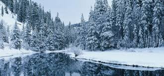 What is the best way to get to lake tahoe? 7 Reasons You Should Visit Lake Tahoe This Winter
