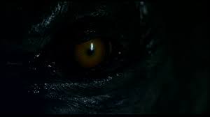 Werewolf The Beast Among Us Hd Wallpaper Background Image 1920x1080 Id 325902 Wallpaper Abyss