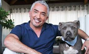 Cesar is a famous mexican dog trainer who helps people with problems related with their dogs like bad behaviors or aggressiveness. La Dramatica Historia De Cesar Millan El Encantador De Perros El Comercio