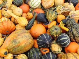 Kabocha has a dark green coloured skin and has a shape similar to a pumpkin. Types Of Squash Oola Com