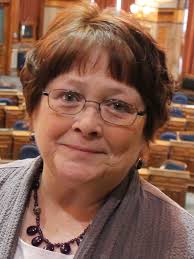 House District 36: Marti Anderson