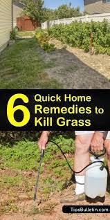 And vinegar has been used to fight weeds, though usually horticultural vinegar, which has about four times the acetic acid of the vinegar we use in the kitchen. Pin On Landscaping