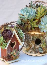 20 Succulent Planters You Ll Love Abertura Na Porta Plantas Suculentas Suculentas