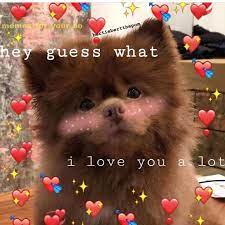 Goodnight People Cute Memes Wholesome Memes Love You Meme
