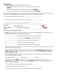 What is the digestive system? Gizmo Instructions And Questions