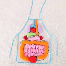 Check spelling or type a new query. Educational Kids Anatomy Apron Human Body Organs Toys Buy At A Low Prices On Joom E Commerce Platform