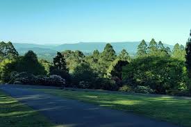 Dandenong Ranges Botanic Garden National Rhododendron Gardens Botanical Gardens Rhododendron Linden Gardens