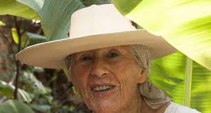 US BRIEFS: Submarine boards Diane Kennedy doc; Shout! takes 'Fender  Bender'; Gravitas finds 'Actor For Hire'