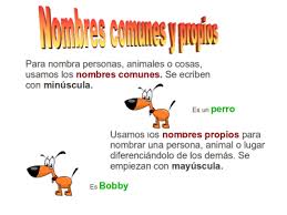 http://primerodecarlos.com/SEGUNDO_PRIMARIA/noviembre/Unidad_4/actividades/lengua_unidad4/nombre_comun_propio.swf