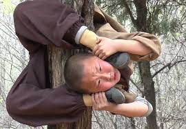 Maybe you would like to learn more about one of these? Six Year Old Shaolin Warrior Monks Hang From Trees And Balance On Tall Poles As Masters Drill Them In Kung Fu