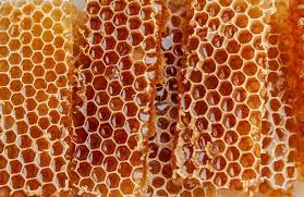 The Benefits Of Honeycomb - Revive A Bee