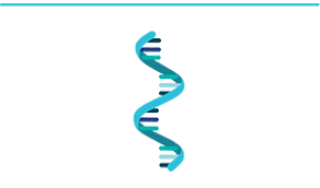 Dec 18, 2020 · 1 (mrna or messenger) and vaccine (word variations automatically searched) 151 — — exclude 15 duplicate references 136 4 0 table 8. Mrna Precision Nanosystems