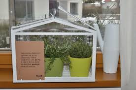 Nie Je Nad Doma Pestovane Bylinky Http Www Ikea Com Sk Sk Search Query Mini Sklenik Home Decor Decor Terrarium