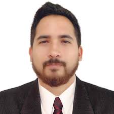 Firma Consultora Especializada en Gestión Gubernamental y Empresarial