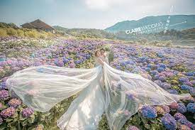 繡球花婚紗照 秘境婚紗的風月無邊 辛辛克萊結婚概念店 outdoor outdoor decor outdoor furniture