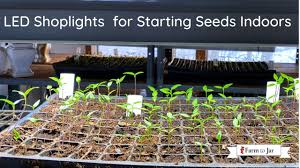 Here's vp600's light footprint map. Starting Tomato Peppers Indoors Led Vs Fluorescent Lights Farm To Jar Food