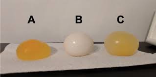Egg osmosis lab report name and date: Learning By Seeing Osmosis Nsta