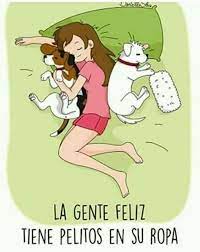 Muchos Pelitos Mama De Perro Amantes De Perros Amor De Perro