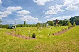 Stellplatz Lauterbach Auf Rugen Neuer Platz Fur 42 Mobile Reiseziele Camping Rugen Reise Hacks