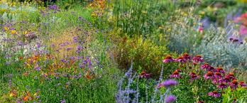 They are useful as accents or splashes of color in the landscape or can be combined in perennial gardens. 55 Perennial Flowers That Bloom All Summer Gardening
