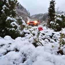 Schnee entsteht, wenn sich in den wolken feinste tröpfchen unterkühlten wassers an kristallisationskeimen (zum beispiel staubteilchen) anlagern und dort gefrieren. Wetter Deutschland Schneit Es An Weihnachten Meteorologe Sagt Wende Voraus Wetter