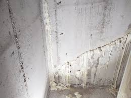Clear interior/exterior floor and wall basement and. Historical Apartment Building