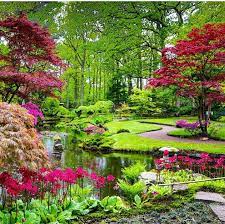 Wish This Was My Backyard Japanese Garden Landscape Small Japanese Garden Japanese Garden