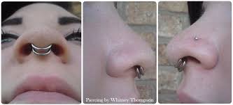 double septum and nostril septum piercing nose piercing double nose piercing