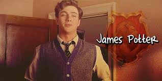 Lily didn't like james at first. Operation Lily James Potter X Reader X Twin Remus Lupin Harry Potter Characters X Reader Discontinued