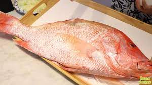 Penelitian ini bertujuan untuk menentukan komposisi asam lemak, kolesterol, dan deskripsi jaringan fillet ikan kakap merah segar dan goreng. Wow Youtuber Ini Mukbang Ikan Kakap Goreng 7 Kg