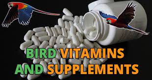 300g (10.6oz) = 55.00 100g (3.5oz) = 21.12. Bird Vitamins And Supplements For Nutrition Sickness And Health
