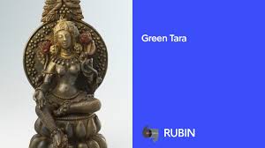 Image result for Tarenna leonardii