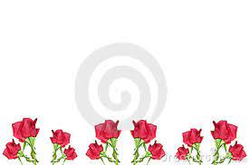 Frame border white rose floral bingkai bunga mawar putih hd png download transparent png image pngitem. Red Rose Flower Border