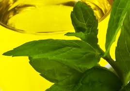 La Recette De L Huile D Olive Aromatisee Au Basilic D Un Chef Etoile The Foodtracks Post
