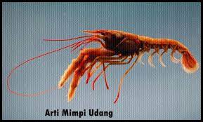 Lalu apa saja sih tafsir mimpi melihat ikan ini? Arti Mimpi Udang Menurut Primbon Jawa Dan Psikolog