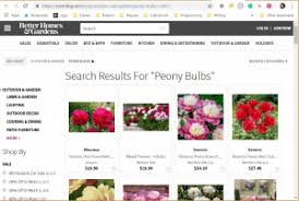 My yard guy planted it for me, and it has never done well. Where To Buy Peony Plants Or Bulbs Online Top 50 Stores Garden Tabs