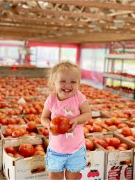 Bistro Di Marino Sewell Nj Menu Duffield S Farm Home Facebook