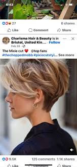 Sandy McCleary (oldfriendsmccle)