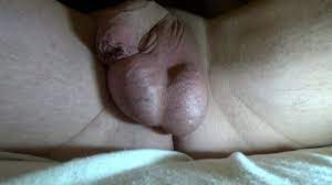Xhamster.com