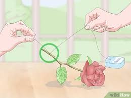 Spraying the flowers with hairspray or clear floral spray will strengthen them. How To Preserve Flowers With Hairspray 14 Steps With Pictures