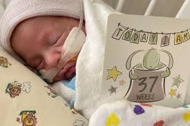 Fundraiser for Kayla Tabor by Laurie Dickinson Oncale : Owen and Alex  Prejean