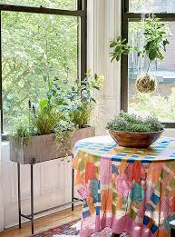 We did not find results for: 8 Refreshing Lessons On Living With Indoor Plants
