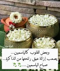 عبارات وصور صباح الخير للفيس بوك والواتس اب فوتوجرافر Good Morning Arabic Good Morning Greetings Morning Words