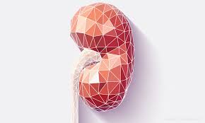 Acid Reflux Drugs Linked To Kidney Disease Risk Drug Topics